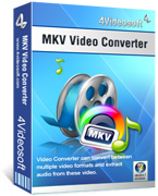 4Videosoft MKV Video Converter